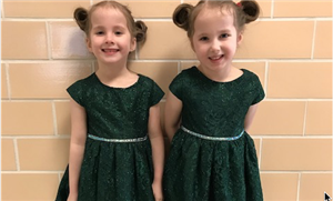The Twins The Twins